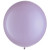 Lavender - 04  